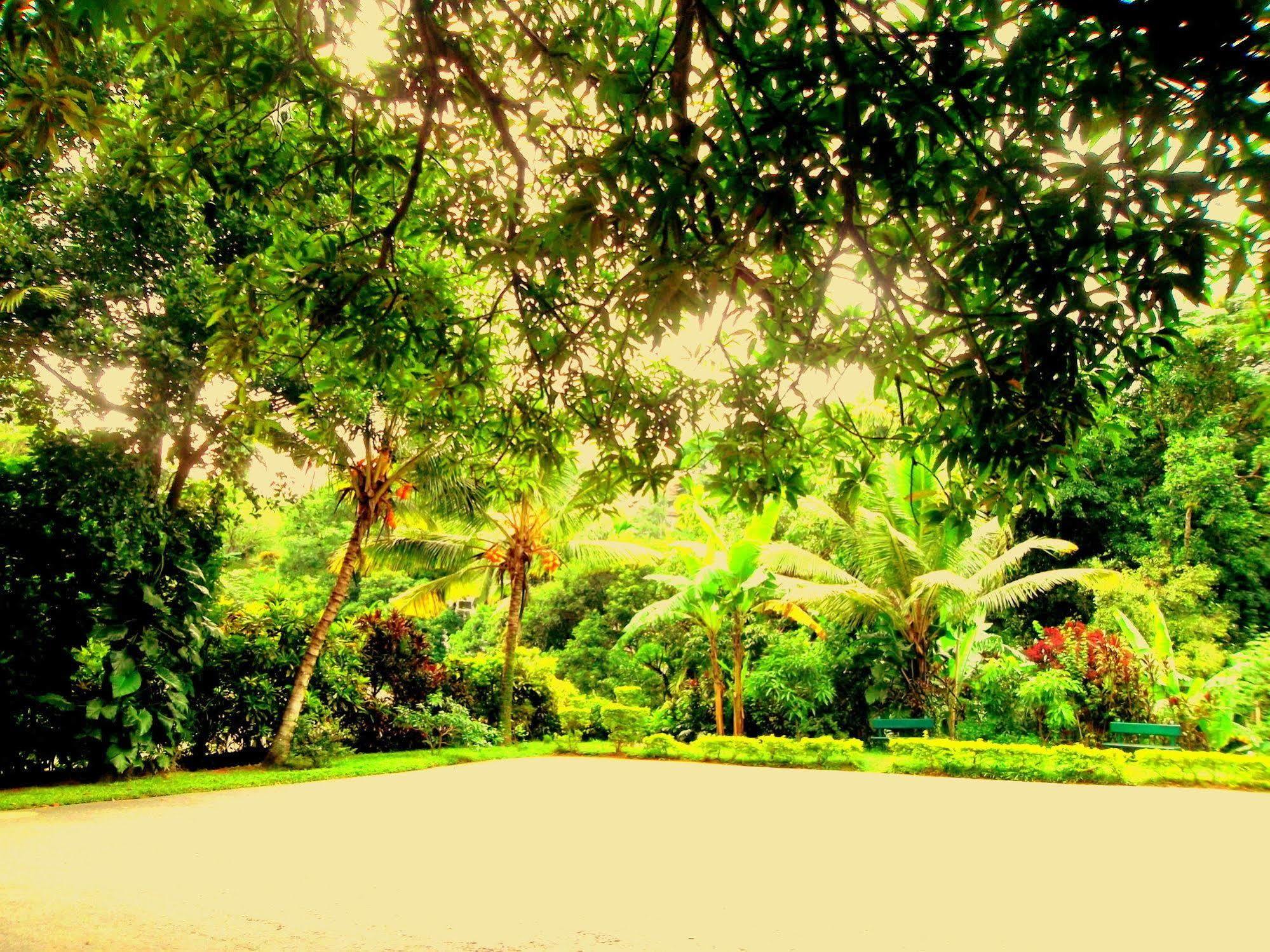 Oyo 433 Paradise Resort Kandy Kültér fotó