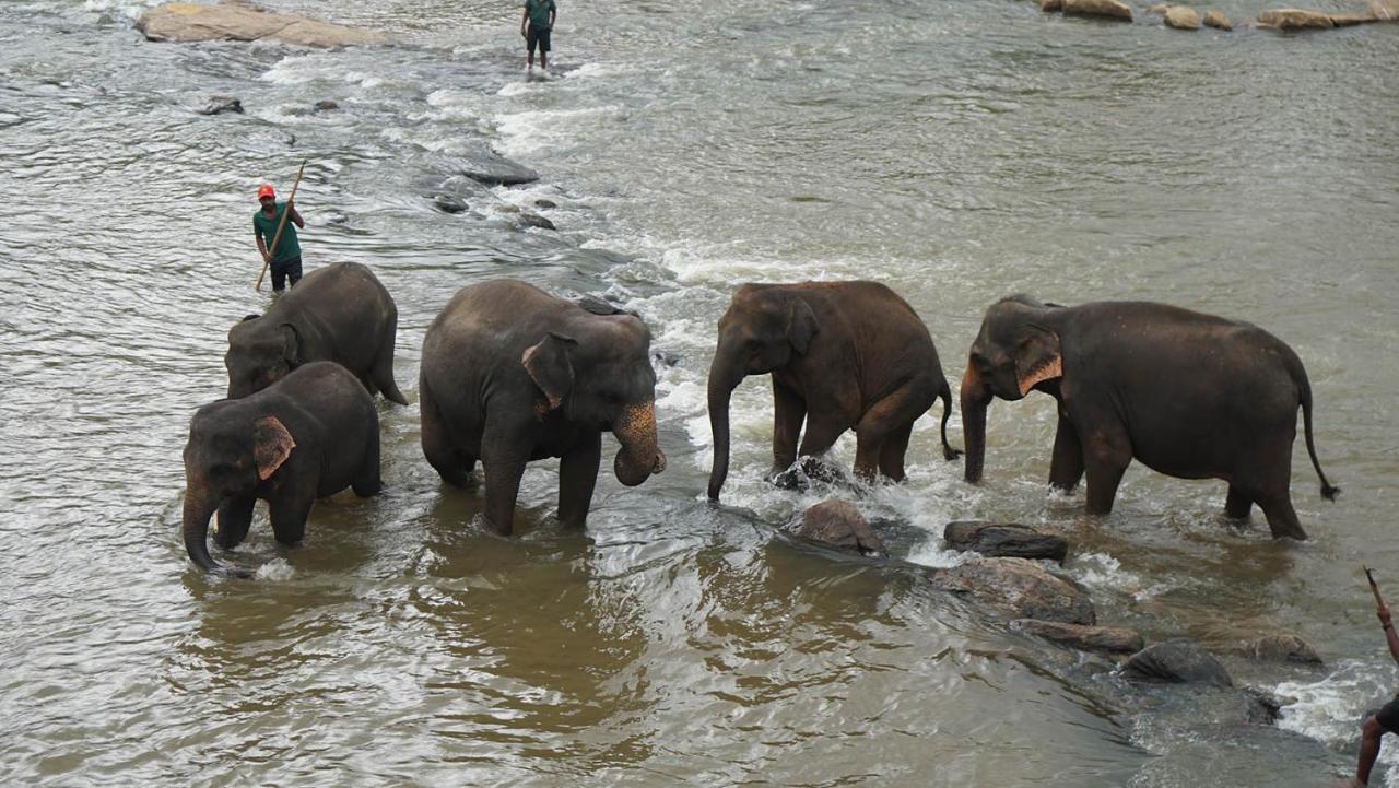 Oyo 433 Paradise Resort Kandy Kültér fotó